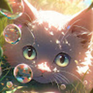 Meet your Posher, Laci